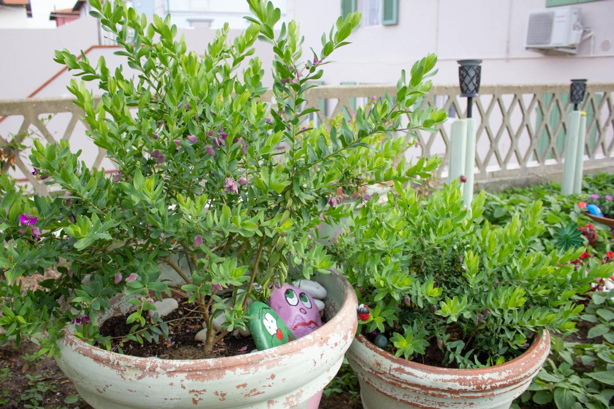 La Coccinella Apartment Marina Di Pisa Exterior photo